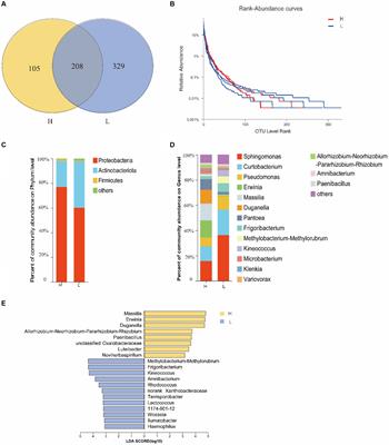 Seed endophytes and rhizosphere microbiome of Imperata cylindrica, a pioneer plant of abandoned mine lands